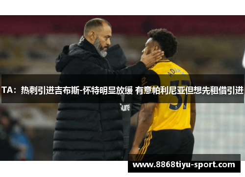 TA：热刺引进吉布斯-怀特明显放缓 有意帕利尼亚但想先租借引进